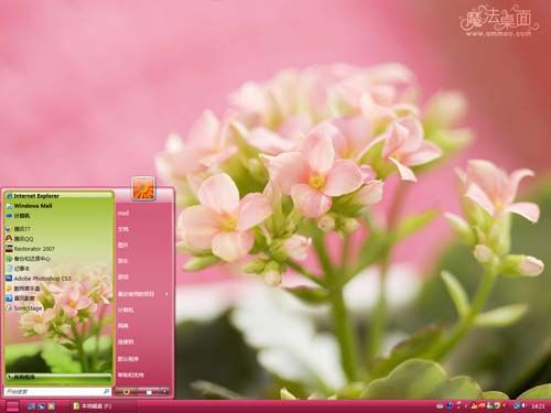 粉色长寿花主题 XP/VISTA/WIN7版软件截图（2）