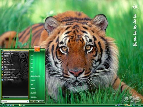 虎虎生威桌面主题 XP/VISTA/WIN7版软件截图（3）