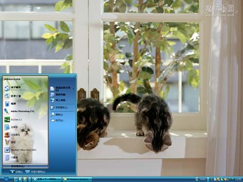 宠物猫咪主题 XP/VISTA/WIN7版软件截图（1）