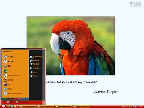 我的鹦鹉老大主题 XP/VISTA/WIN7通用版软件截图（1）