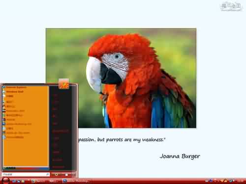 我的鹦鹉老大主题 XP/VISTA/WIN7通用版软件截图（2）