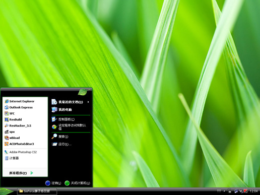 清新叶子主题 bioforce WinXP版软件截图（1）