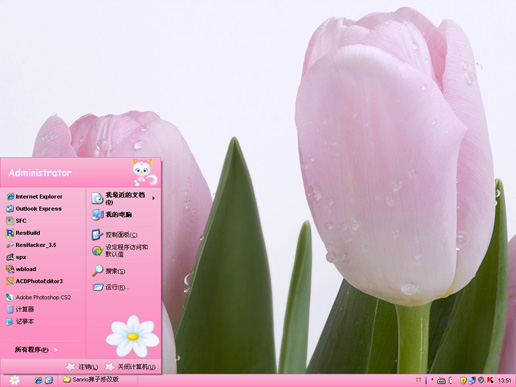 粉红色优雅郁金香主题 XP版软件截图（1）
