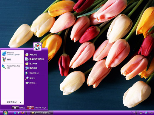 紫色多彩郁金香主题 xp版软件截图（1）