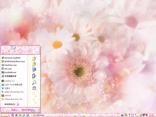 梦幻一样的花儿主题 XP版软件截图（1）