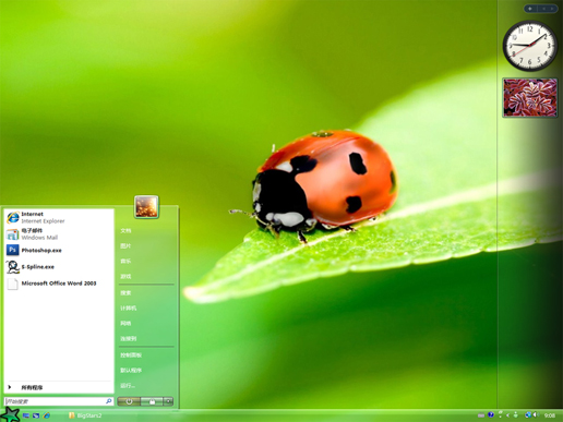 透明可爱的七星瓢虫 bigstars2 vista版软件截图（1）