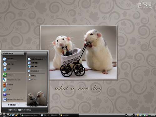 仓鼠夫妇的一天主题 XP/VISTA/WIN7版软件截图（1）