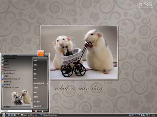 仓鼠夫妇的一天主题 XP/VISTA/WIN7版软件截图（2）