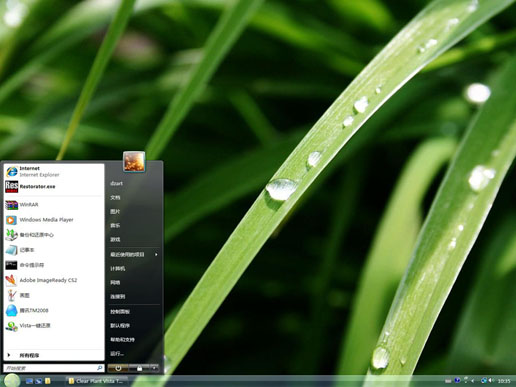 绿色清新植物clear plant主题 vista版软件截图（1）