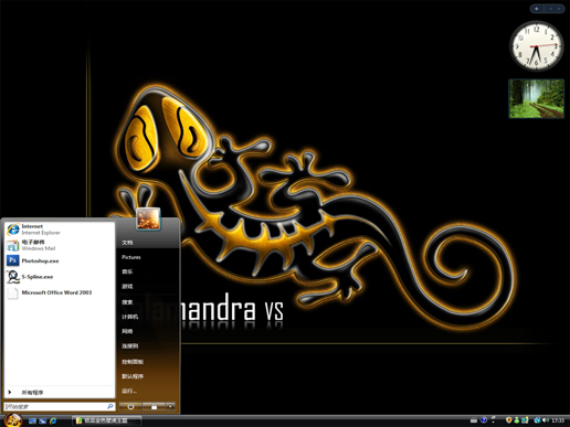 金色壁虎主题 vista版软件截图（1）