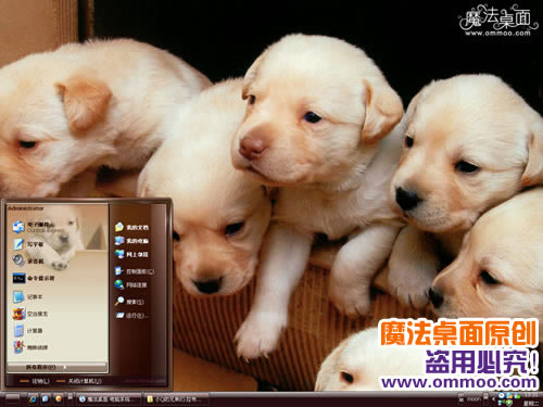 小Q的兄弟们-拉布拉多电脑桌面主题 XP/VISTA/WIN7版软件截图（1）