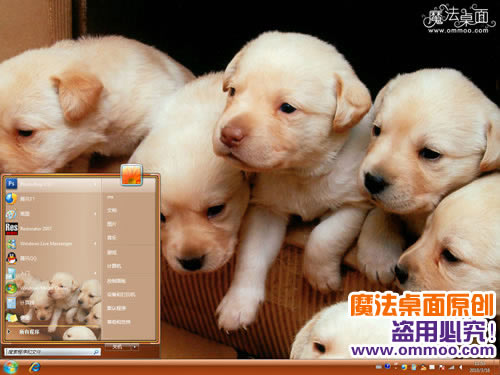 小Q的兄弟们-拉布拉多电脑桌面主题 XP/VISTA/WIN7版软件截图（2）