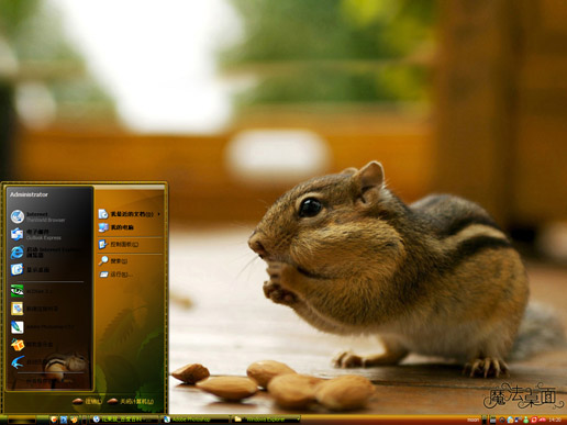 后院里的花栗鼠主题 XP/VISTA/WIN7通用版软件截图（3）