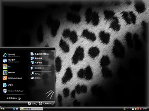 黑色豹纹主题 XP版软件截图（1）