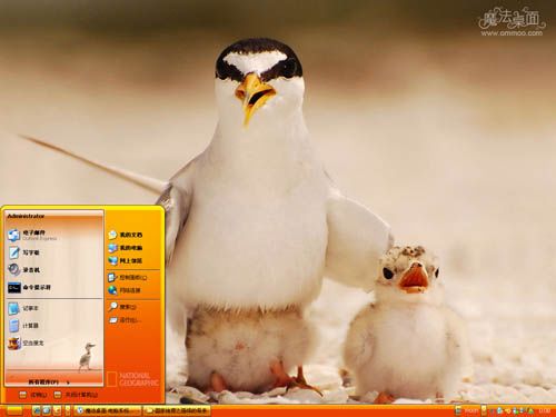 国家地理之强悍的母亲桌面主题 XP/VISTA/WIN7版软件截图（2）