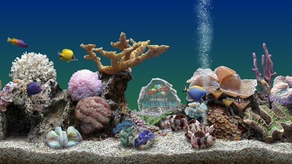 MarineAquarium3屏保工具 3.2软件截图（1）