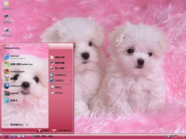 可爱卷毛犬电脑桌面主题 XP版软件截图（1）