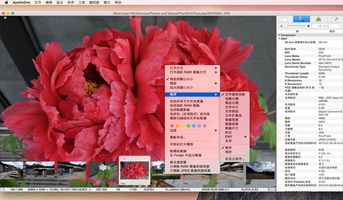 ApolloOne Mac版 2.3软件截图（2）