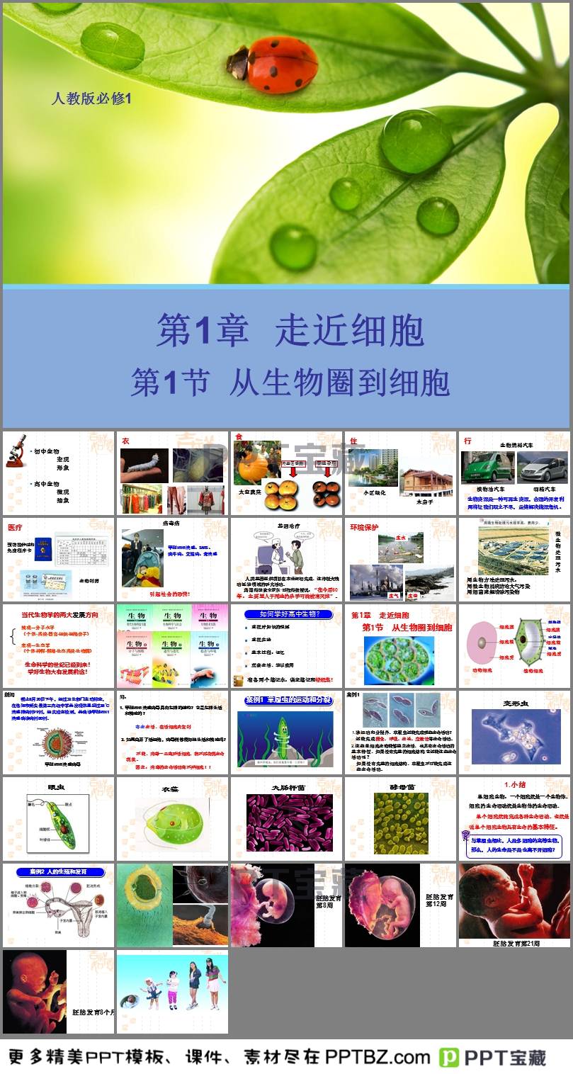 从生物圈到细胞PPT软件截图（1）