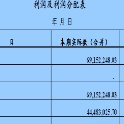 利润及利润分配表最新表格模板