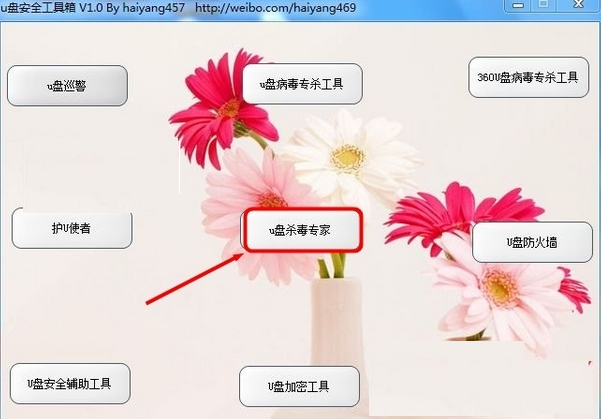 U盘安全工具箱 1.0软件截图（1）