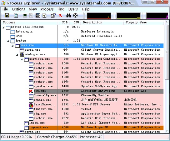 Process Explorer任务管理器 16.43软件截图（4）