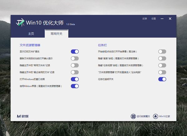 Win10优化大师 1.0软件截图（3）