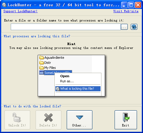 LockHunter 3.1.1软件截图（1）