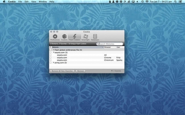 Cookie For Mac 5.0.12软件截图（2）