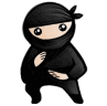 System Ninja 3.2.10