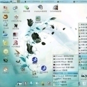 veket linux系统 8.06软件截图（1）