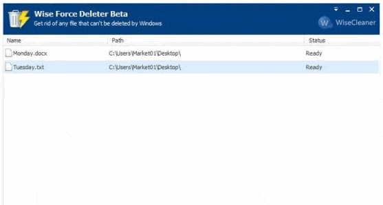 Wise Force Deleter 1.5.1软件截图（1）