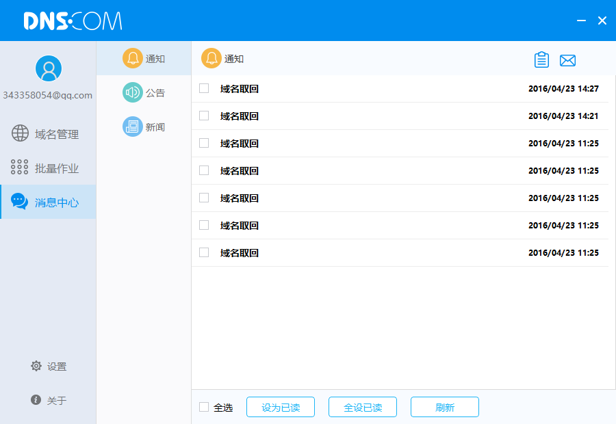 DNS域名批量解析工具 1.31软件截图（1）