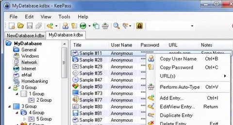 KeePass Password Classic Edition 1.29 正式版软件截图（1）