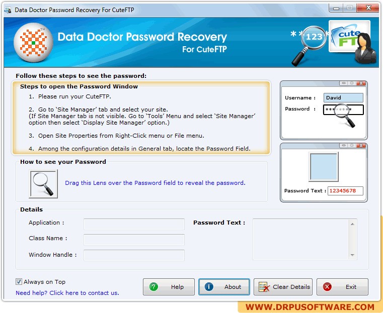 CuteFTP Password Recovery 1.00正式版软件截图（1）