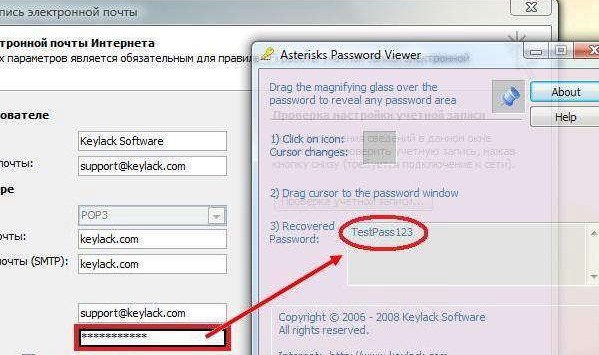 Asterisks Password Viewer 3.15软件截图（1）