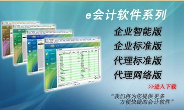 e会计代理标准版 1.2000软件截图（4）